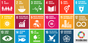 UN Sustainable Development Goals