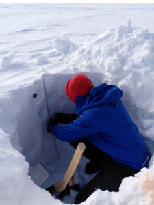 Fieldwork snow pit